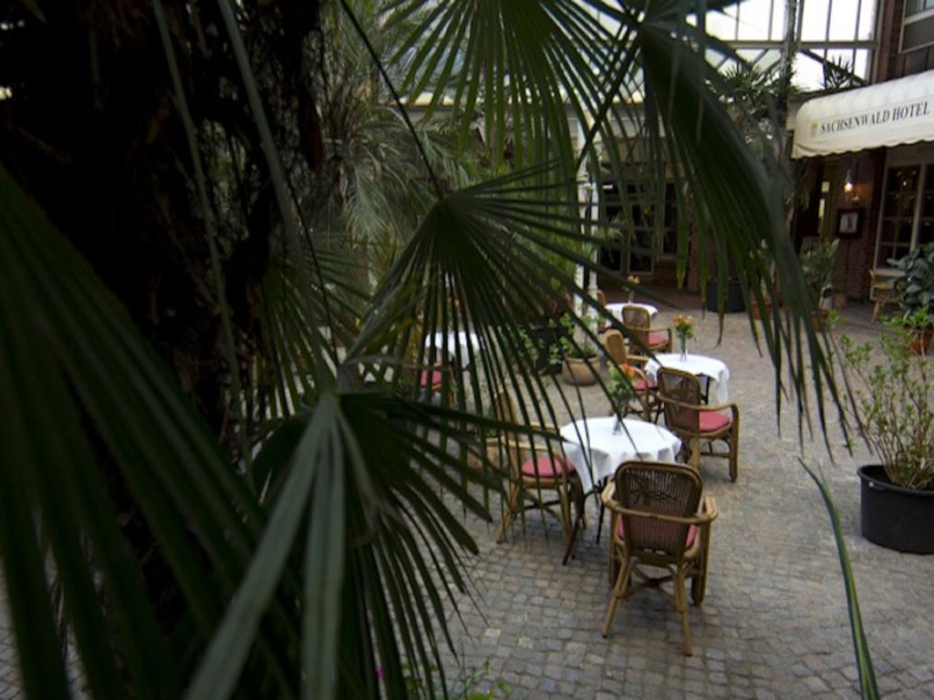 Sachsenwald Hotel ראינבק מראה חיצוני תמונה